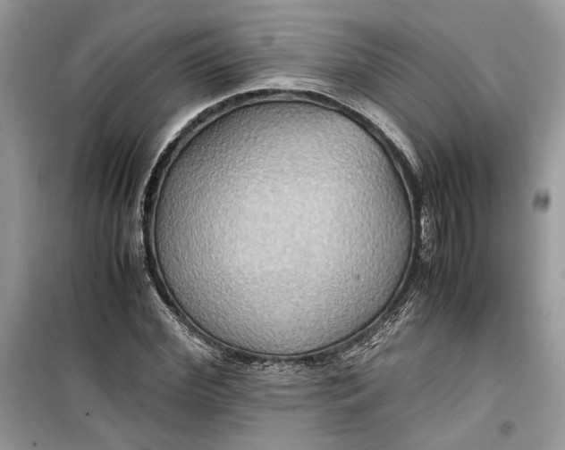 X0000099290972200805231317