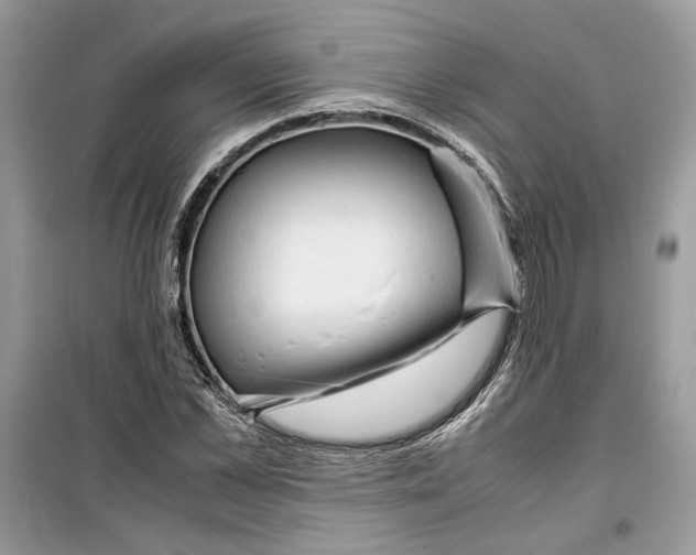 X0000099290973200805231317