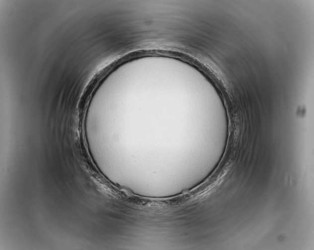 X0000099290974200805231317