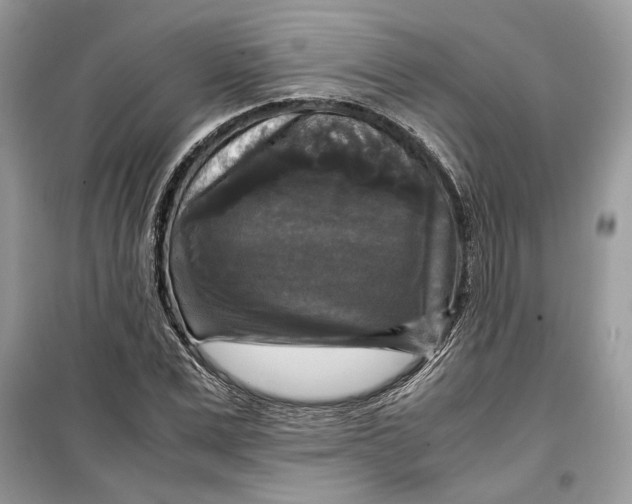 X0000099290975200805231317