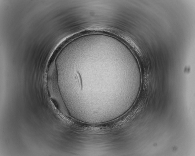 X0000099290976200805231317