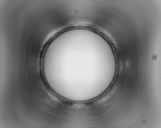 X0000099290978200805231317