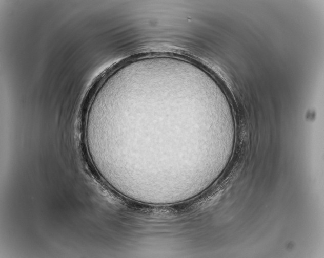 X0000099290979200805231317