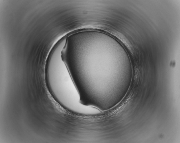 X0000099290980200805231317