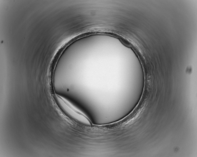 X0000099290981200805231317