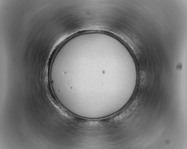 X0000099290982200805231317