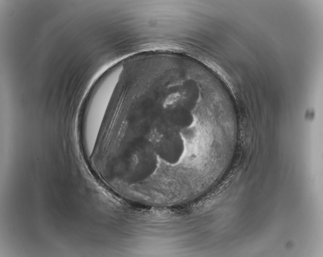 X0000099290983200805231317