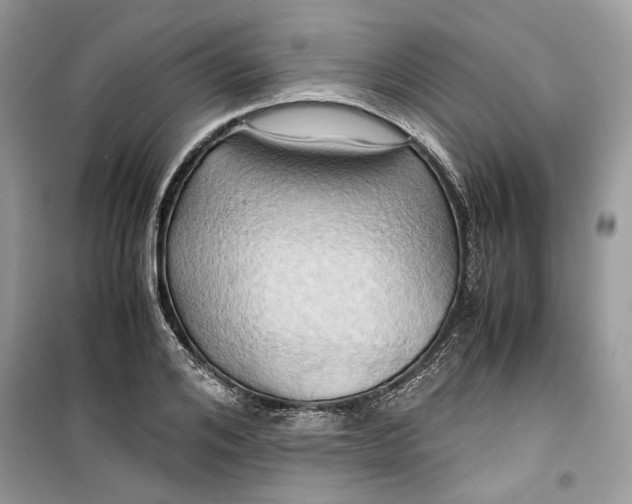 X0000099290984200805231317