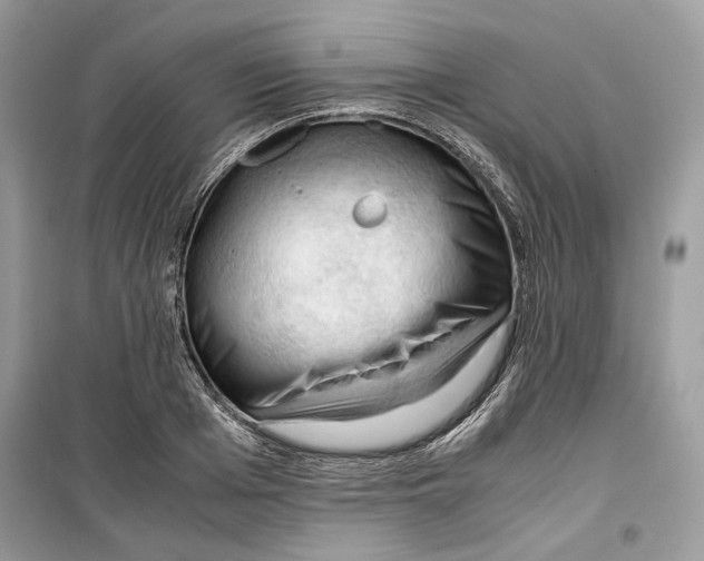 X0000099290985200805231317