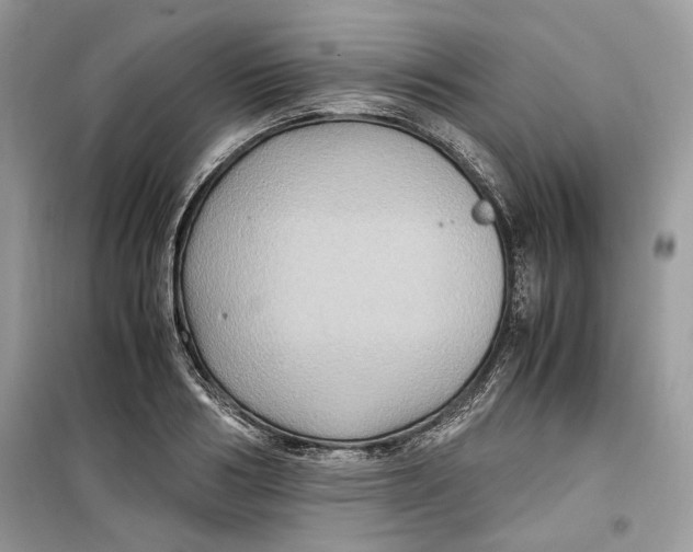 X0000099290986200805231317