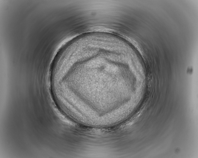 X0000099290987200805231317