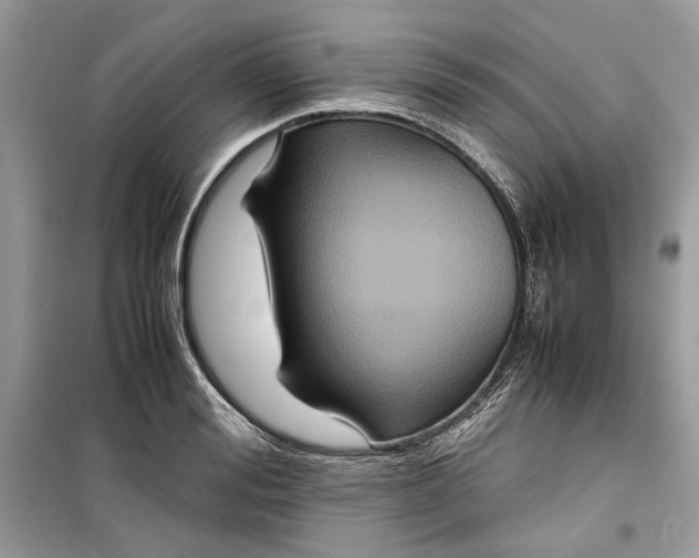 X0000099290988200805231317