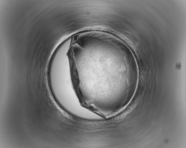 X0000099290989200805231317