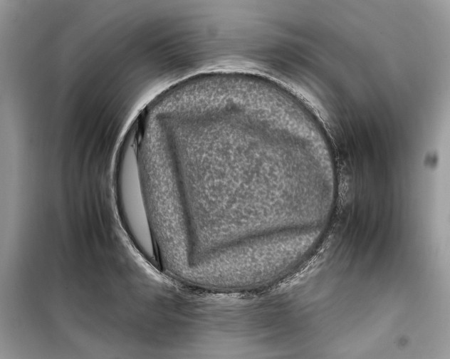 X0000099290990200805231317