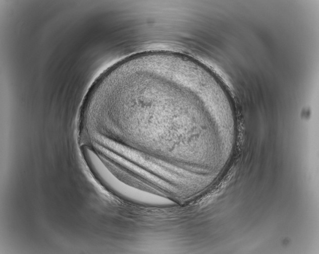 X0000099290991200805231317