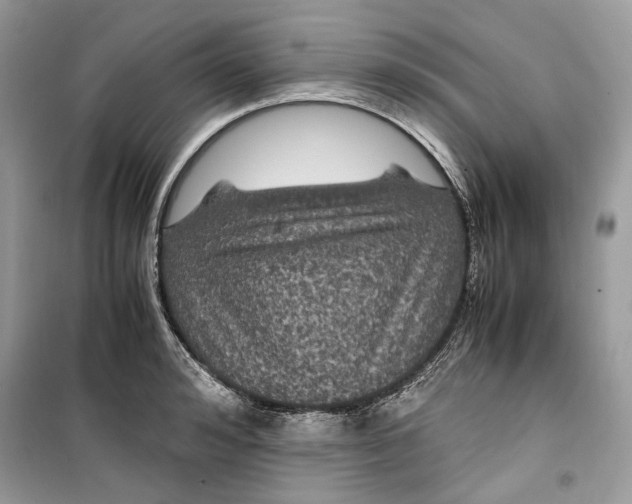 X0000099290992200805231317