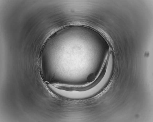 X0000099290993200805231317