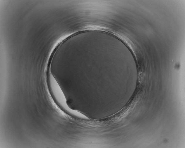 X0000099290995200805231317