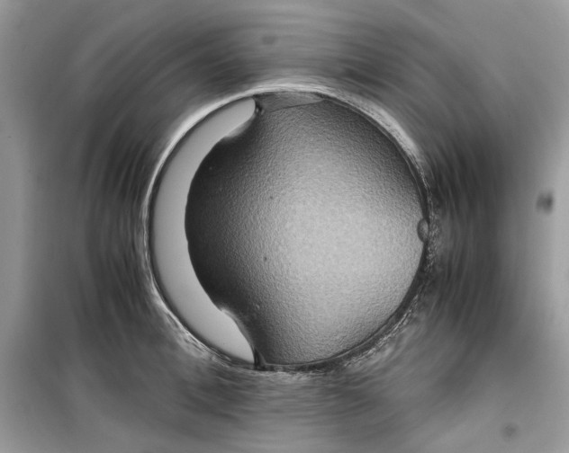 X0000099290996200805231317