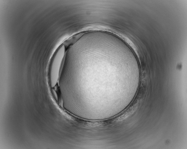 X0000099290997200805231317