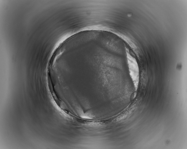 X0000099290998200805231317