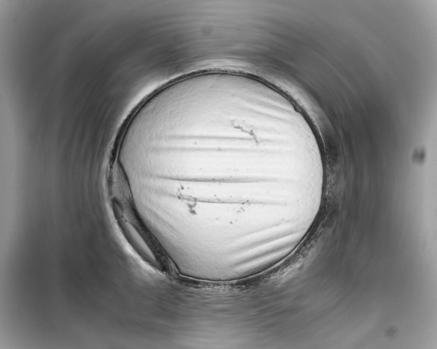 X0000099290999200805231317