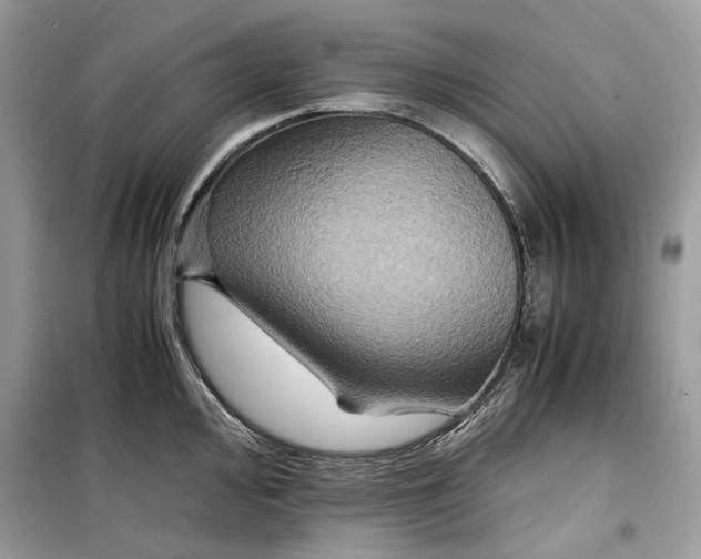 X0000099291000200805231317