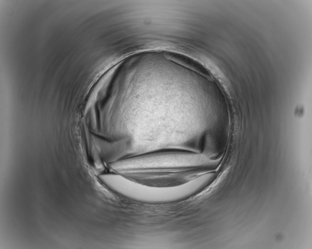 X0000099291001200805231317