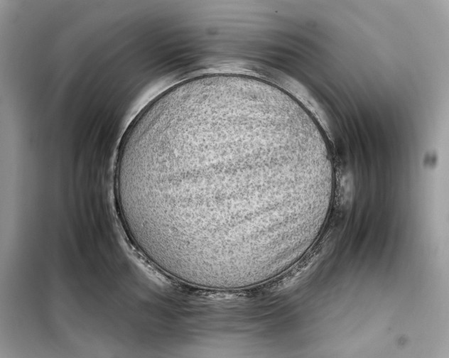 X0000099291002200805231317