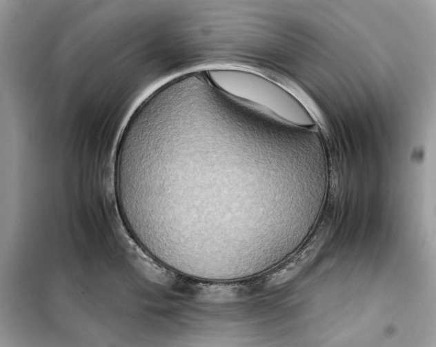 X0000099291004200805231317