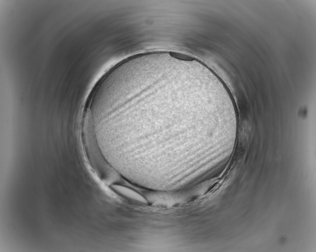 X0000099291005200805231317