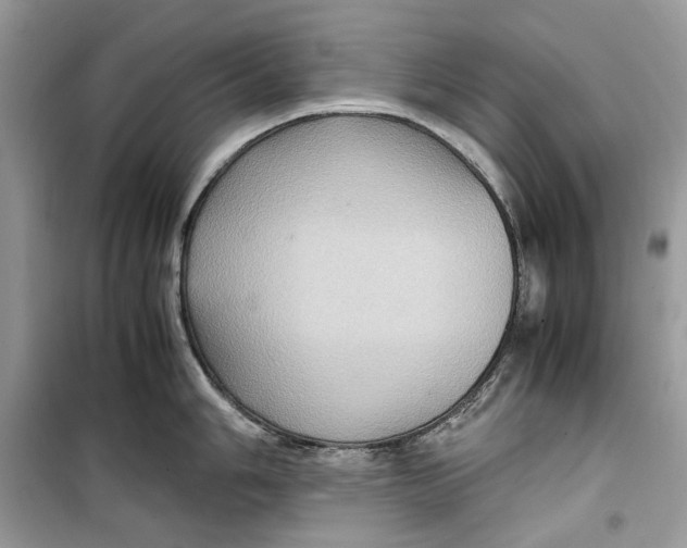 X0000099291006200805231317