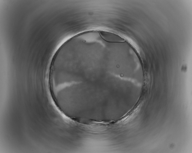 X0000099291007200805231317