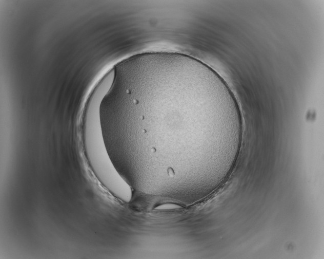 X0000099291008200805231317