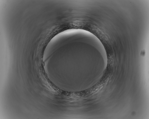 X0000099291009200805231316