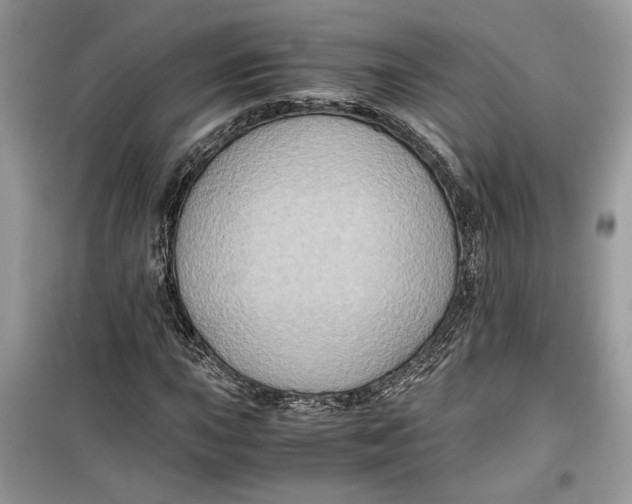 X0000099291015200805231316