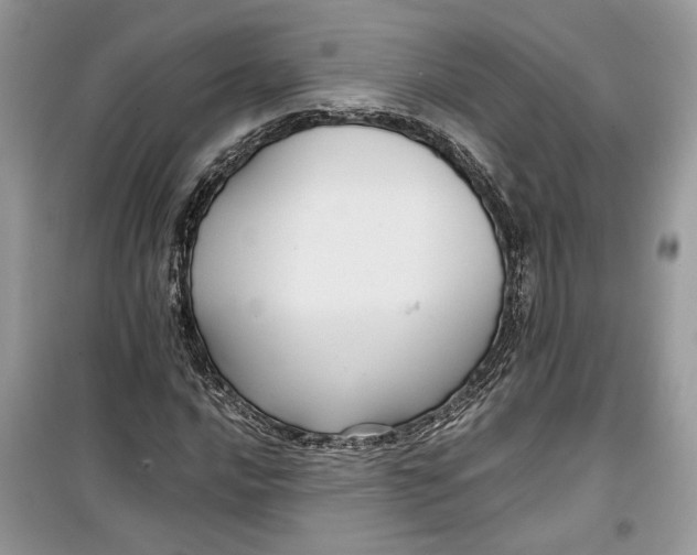 X0000099291016200805231316