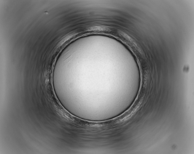 X0000099291017200805231316