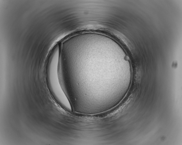 X0000099291018200805231316