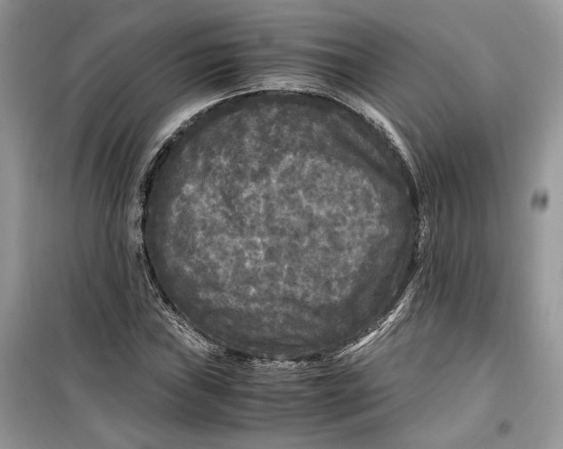 X0000099291019200805231316