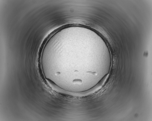 X0000099291020200805231316