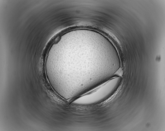 X0000099291021200805231316