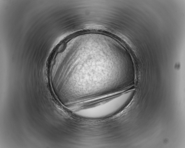 X0000099291022200805231316