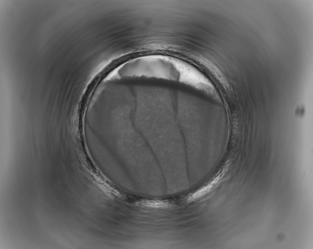 X0000099291023200805231316