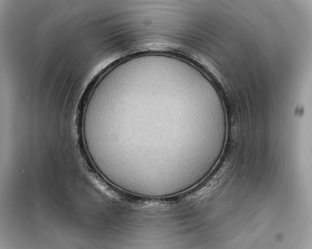 X0000099291026200805231316