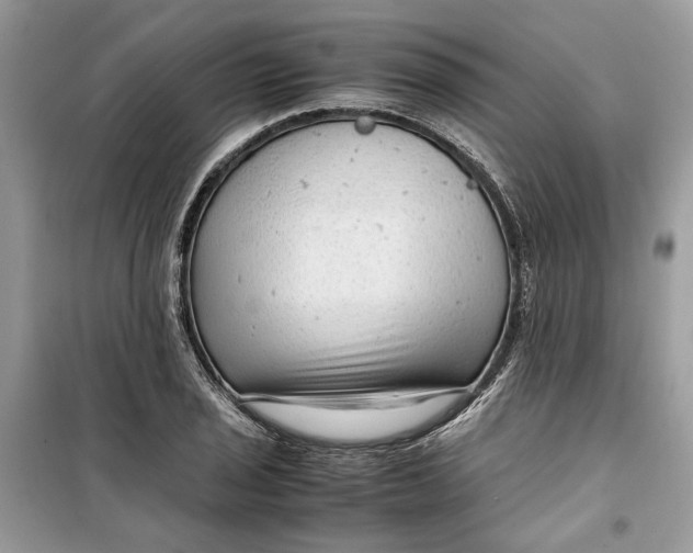 X0000099291029200805231316