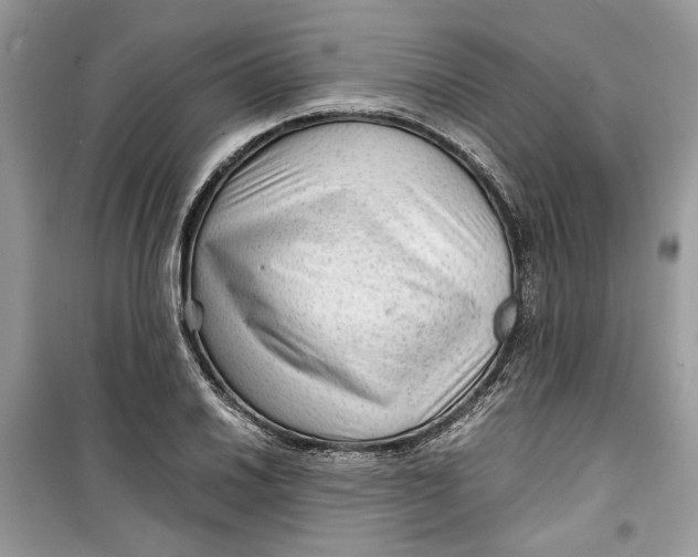 X0000099291030200805231316