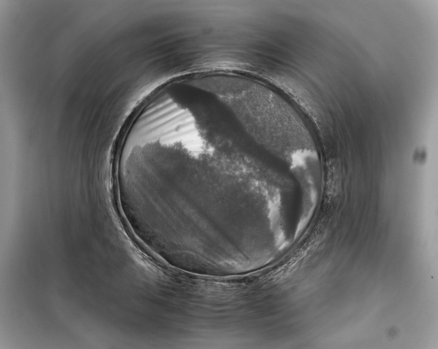 X0000099291031200805231316