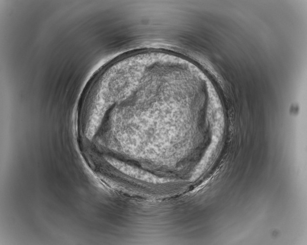 X0000099291032200805231316