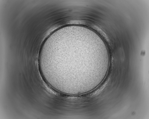 X0000099291033200805231316